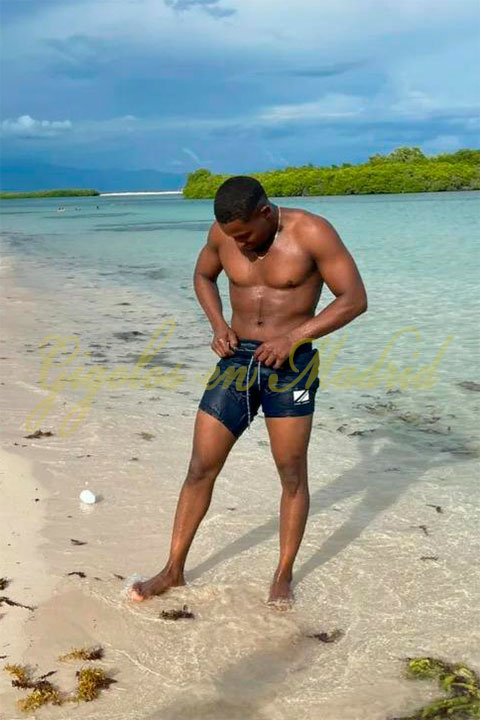 Gigolo piel mulata joven y guapo. Carlos